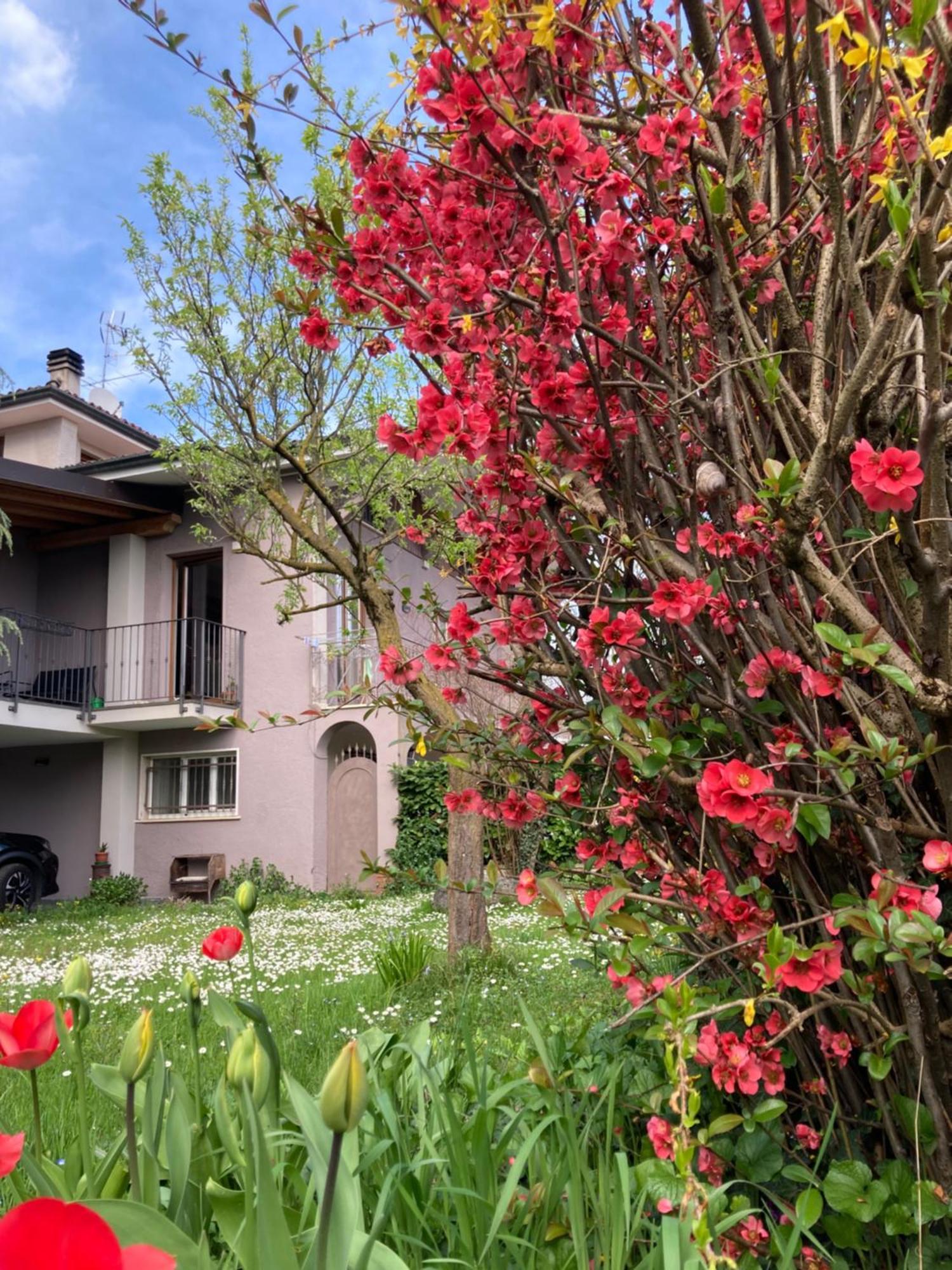 Ferienwohnung Al Clisi Graziosa Mansarda Villanuova sul clisi Exterior foto